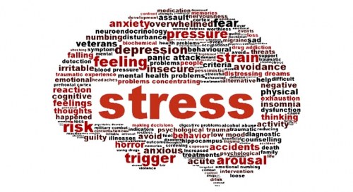 Rụng Tóc Do Bi Stress Kéo Dài